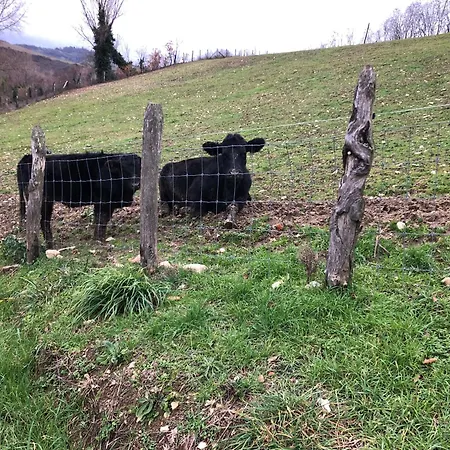 Ca' Belluccio *