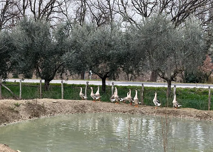 Κατάλυμα σε φάρμα Ca' Belluccio *
