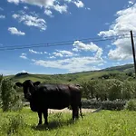 Farm stay Ca' Belluccio