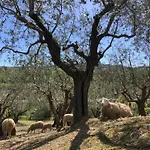 Ca' Belluccio