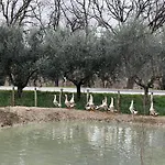 Farm stay Ca' Belluccio *