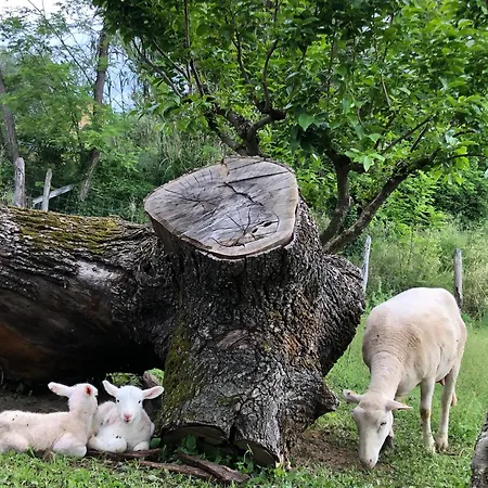Ca' Belluccio Lantgård Santa Maria del Piano