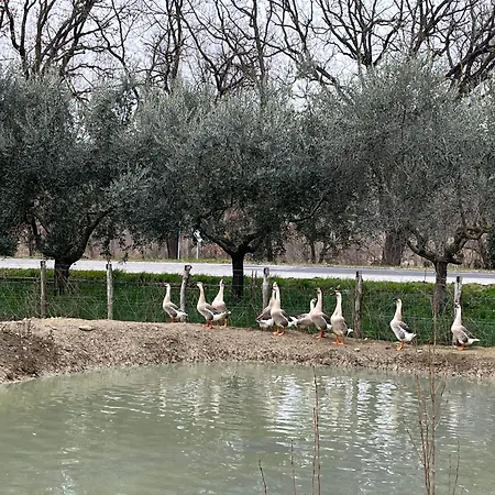 Vakantieboerderij Ca' Belluccio *