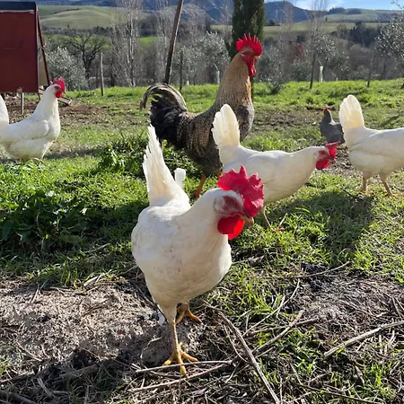 Ca' Belluccio * Santa Maria del Piano