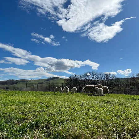 Lantgård Ca' Belluccio Santa Maria del Piano