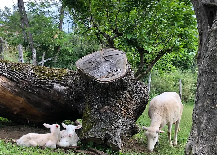 Ca' Belluccio Farmház Santa Maria del Piano