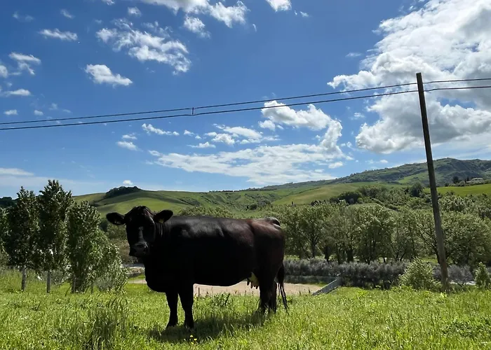 Farmház Ca' Belluccio