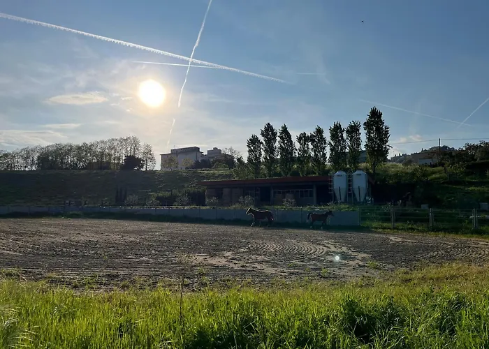 Ca' Belluccio Gospodarstwo agroturystyczne